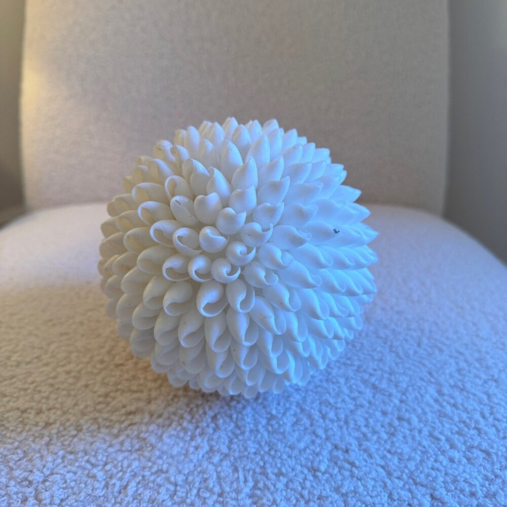 Large Decorative Shell Ball - Picture 3 of 4